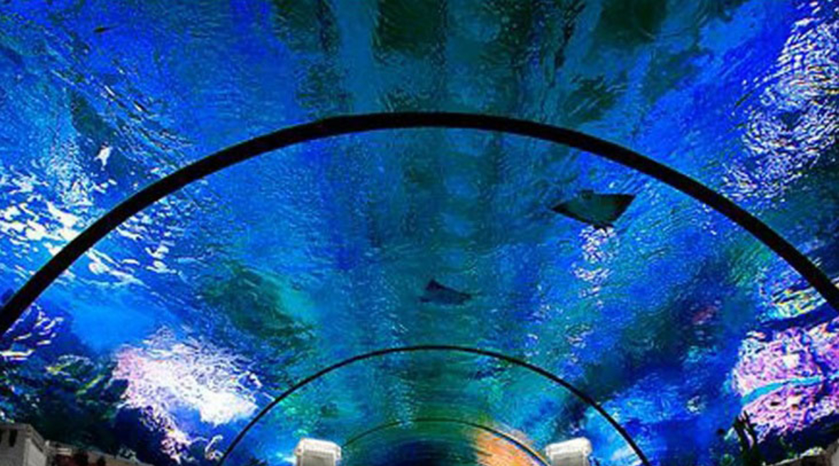 Underwater Tennis Court Planned For Dubai Gains Traction Insight